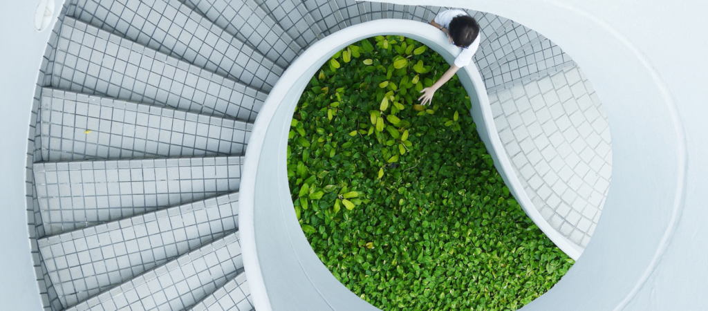 Sustainable Digital Marketing A Guide by Pimento